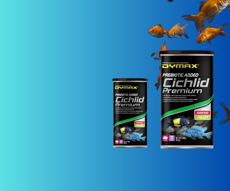 Imagen De La Bandera