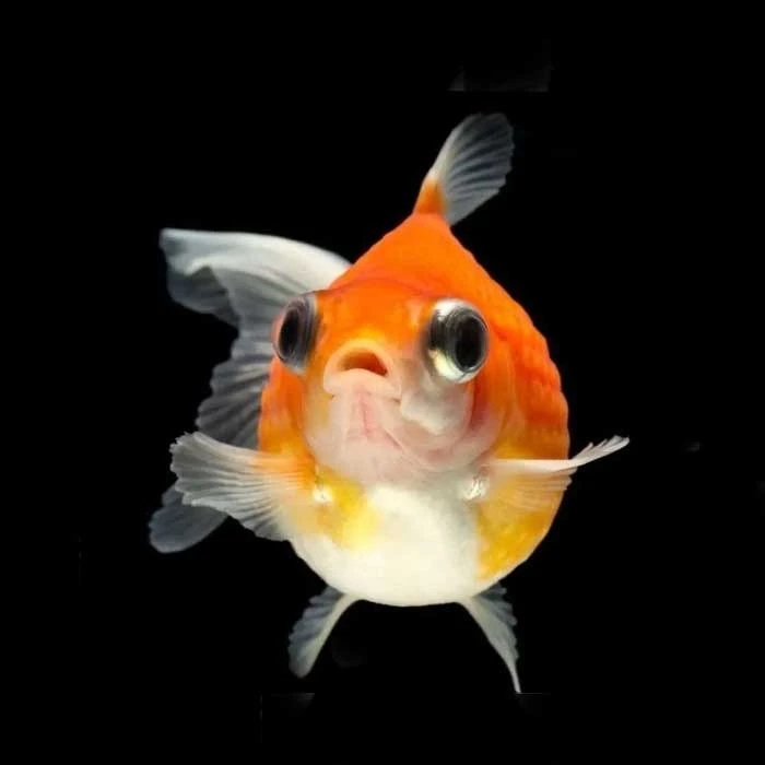 Imagen De Control Deslizante